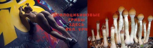 марихуана Белокуриха