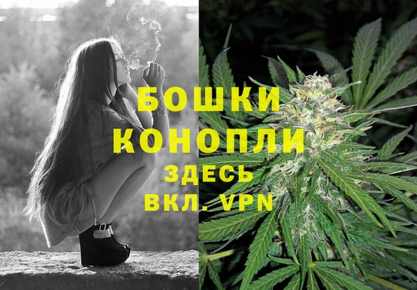 марихуана Белокуриха