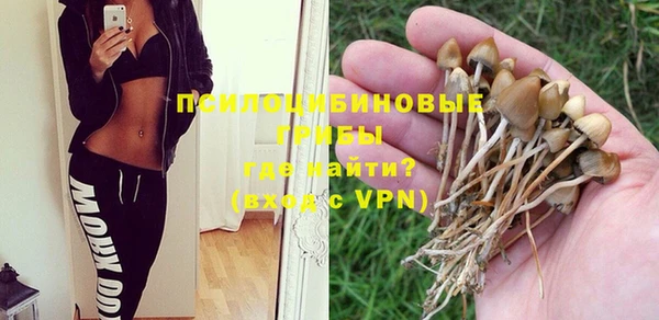 марихуана Белокуриха