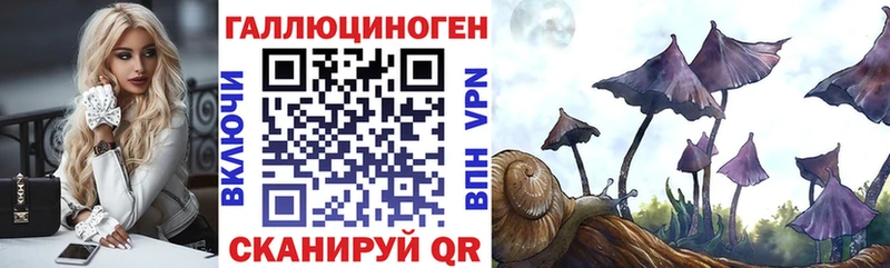 наркота  Нестеровская  Галлюциногенные грибы прущие грибы 