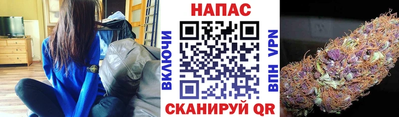 блэк спрут зеркало  Нестеровская  МАРИХУАНА тримм 